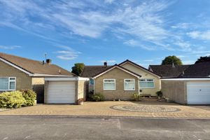 Front- click for photo gallery